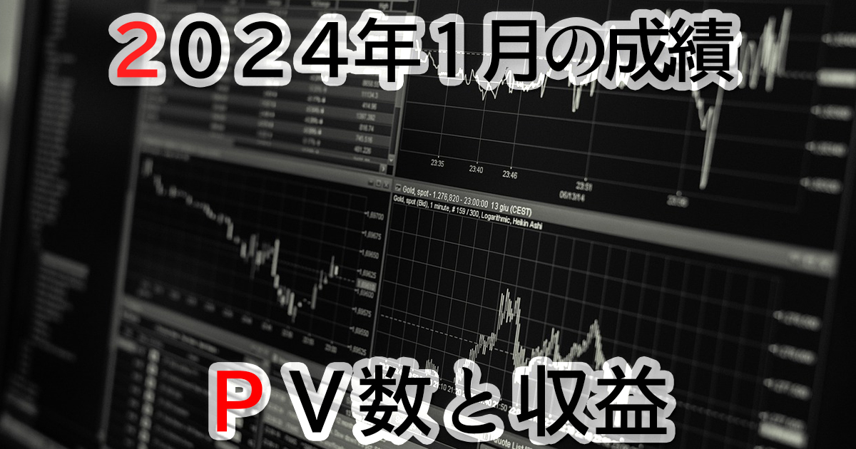 2024年1月の収益報告･儲かったのか？